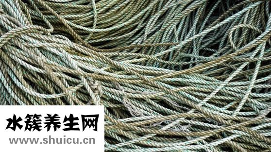 怎么编麻花辫