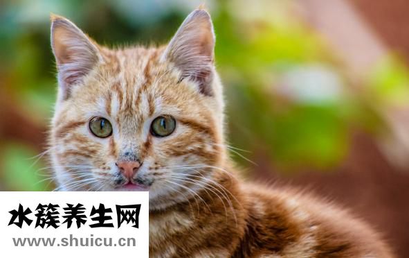 婴儿拉稀怎么回事