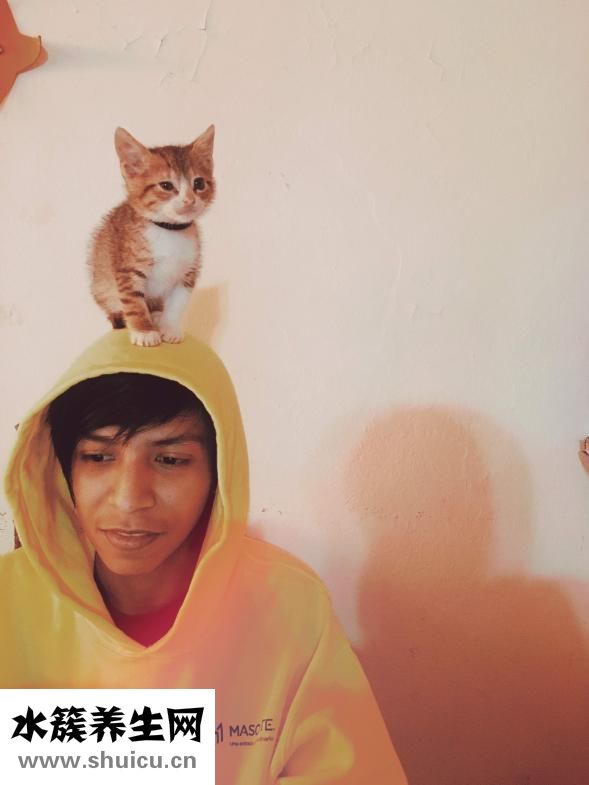 宝宝咳嗽吃什么药