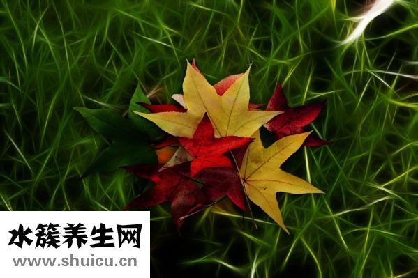 牛皮怎么治