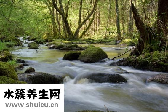 冰点脱毛哪里好