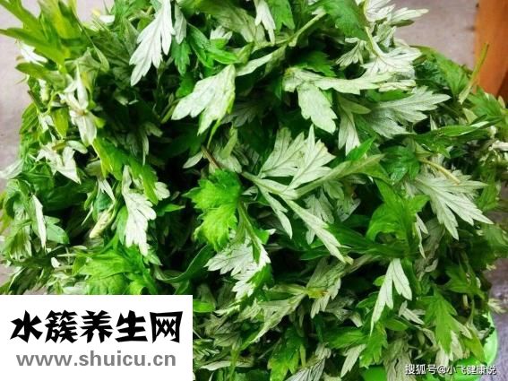 艾叶有什么功效