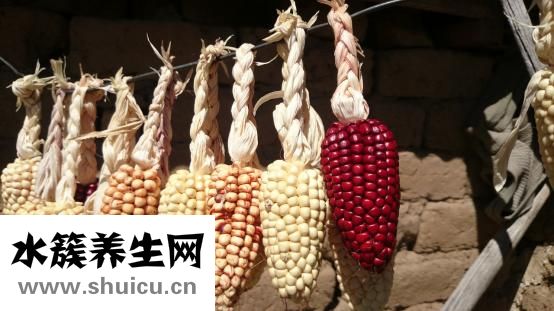 混合物有哪些