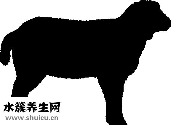 脚冷怎么办