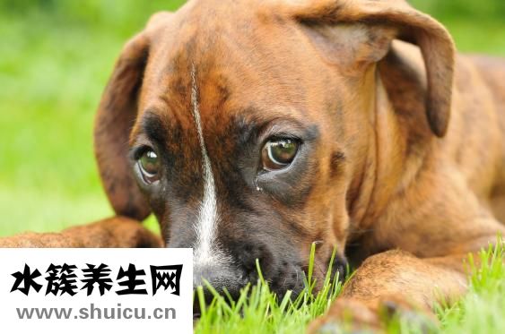 鼻子歪了怎么办