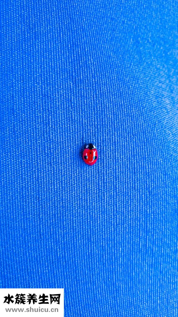 有红血丝怎么办