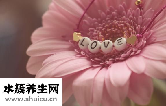母亲节什么时候