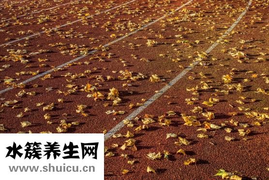 吃什么东西减肥