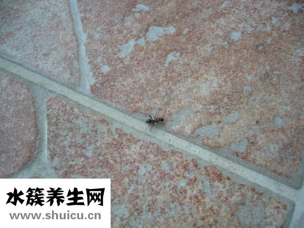 牙缝变大怎么办