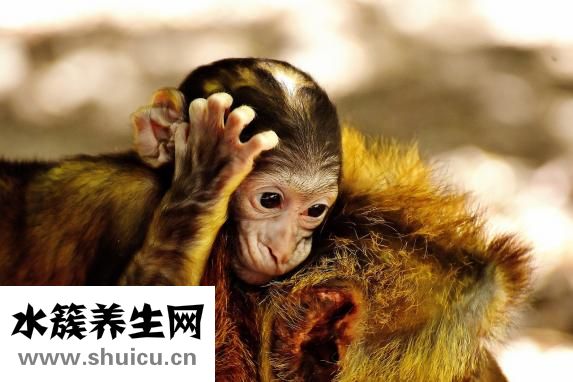宝宝吐奶厉害怎么办