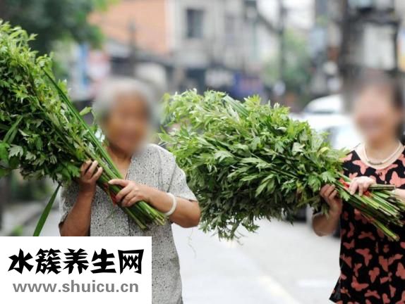 艾叶有什么功效