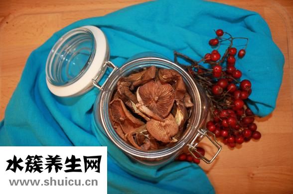 凤梨是什么