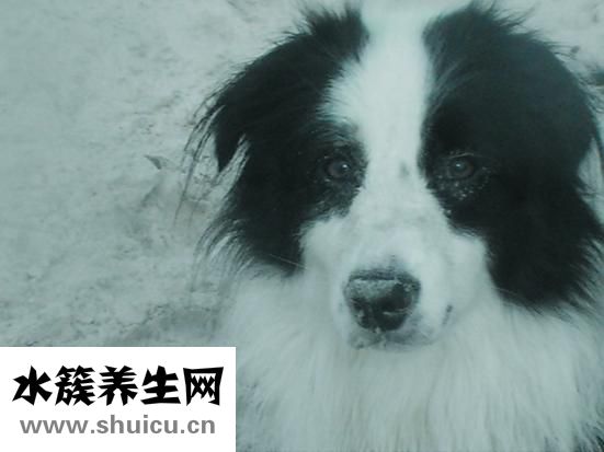 怎么能让鼻子变挺