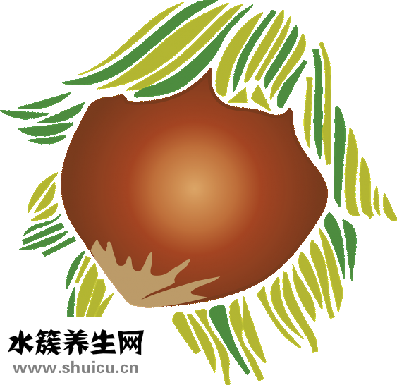 痛经吃什么药好