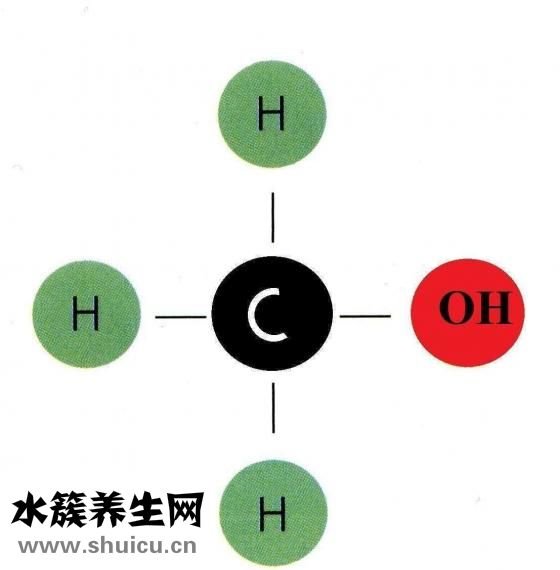 艾叶有什么作用
