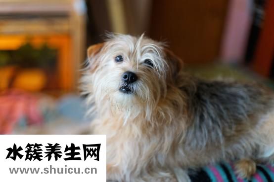 鼻子歪了怎么办