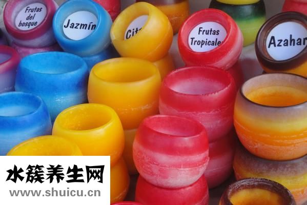 生物有哪些