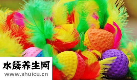 芦笋是什么