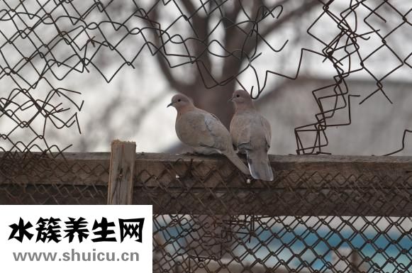 生物有哪些