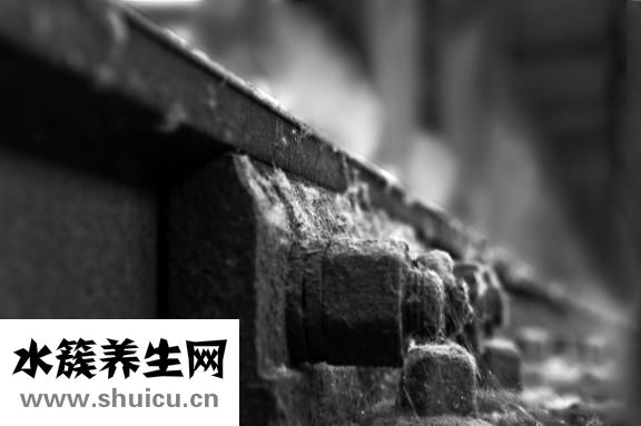 怎么注射隆鼻