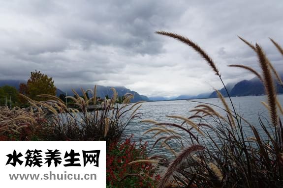 妇科检查有哪些项目