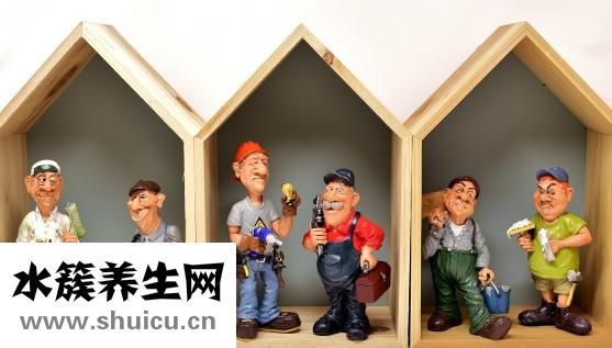 病人送什么花