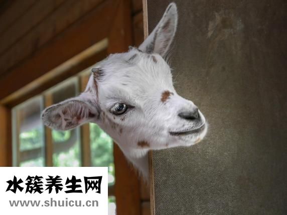 多动症怎么治疗