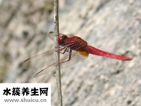 脸上长痘痘该怎么办