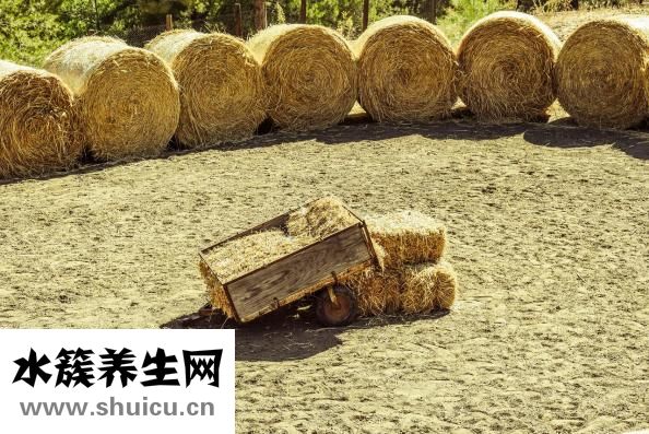 带土的字有哪些