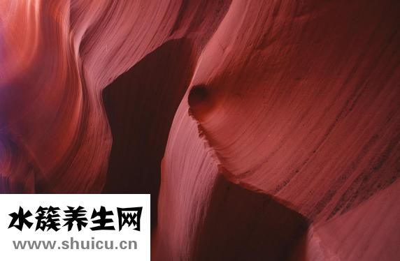 牙缝变大怎么办