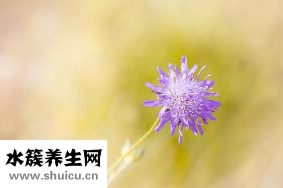 怎么哭出来