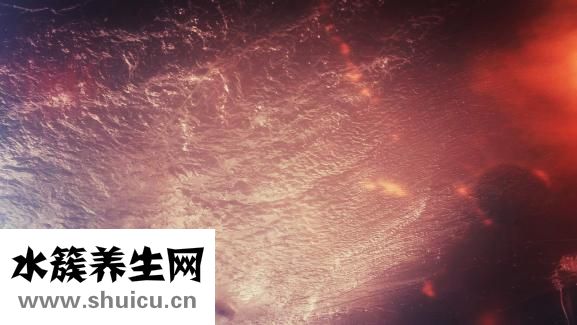 羊水破了什么感觉