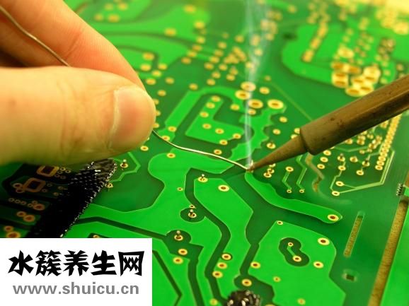 荷花象征着什么