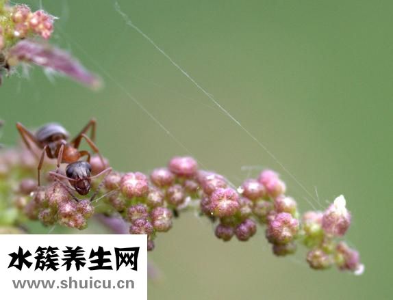 脑震荡怎么办