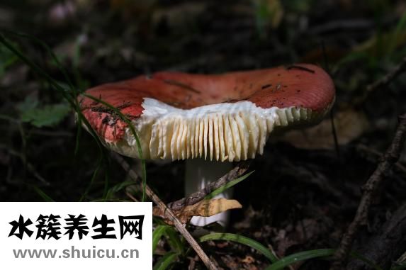 备孕需要多久