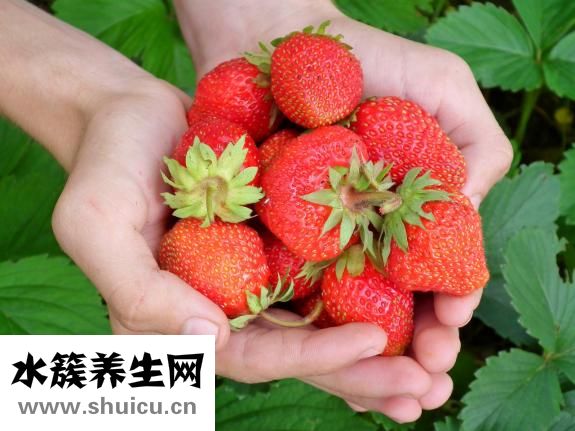 草莓鼻怎么治