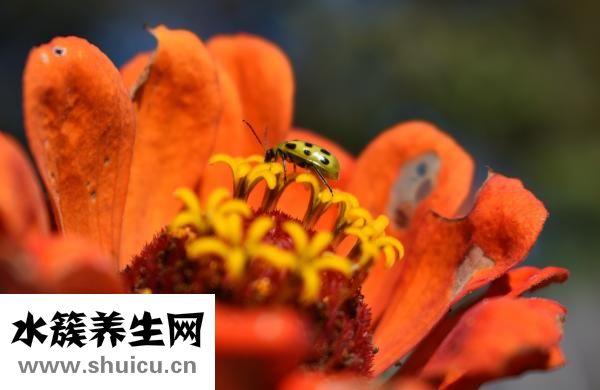 怎么收毛孔