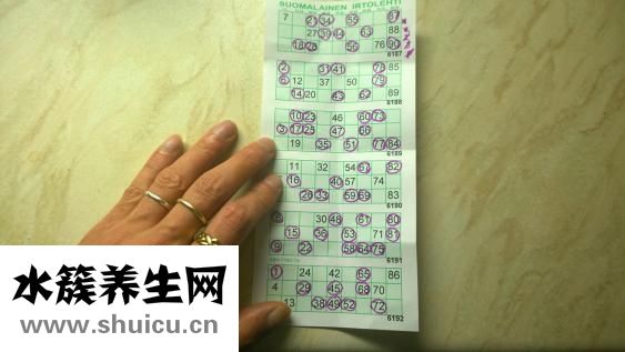 病人送什么花