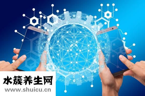 拔了智齿要注意什么