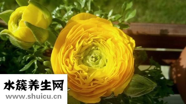 周易如何起卦