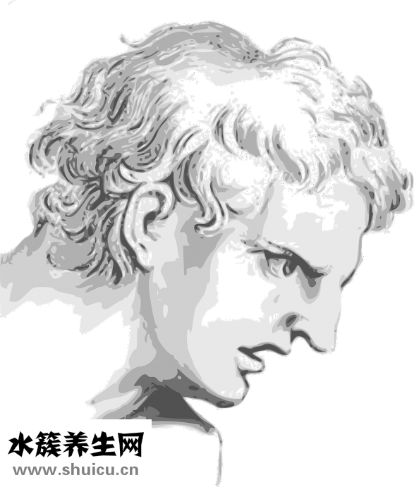 脸上长小痘痘怎么办
