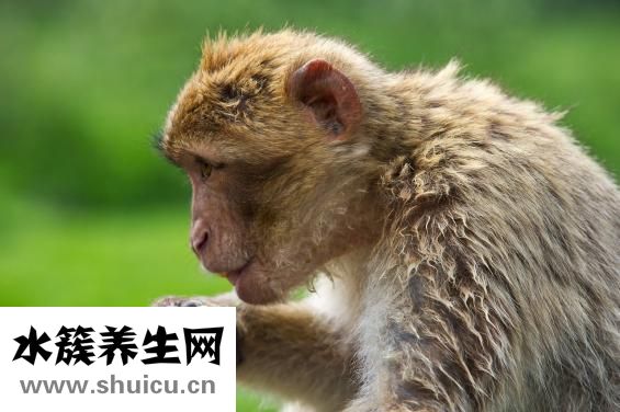 如何处理婆媳关系