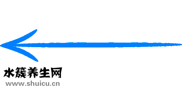 牙神经痛吃什么药