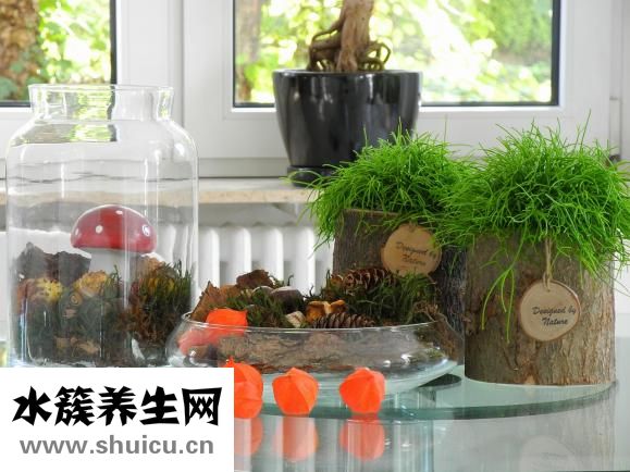 怎么消除眼部皱纹
