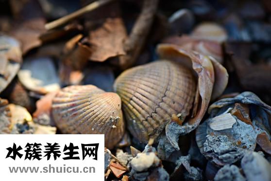 水土不服吃什么药