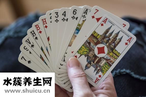 清道夫鱼吃什么