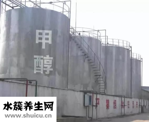 艾叶有什么作用