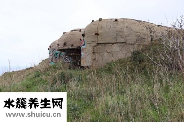 怎么注射隆鼻