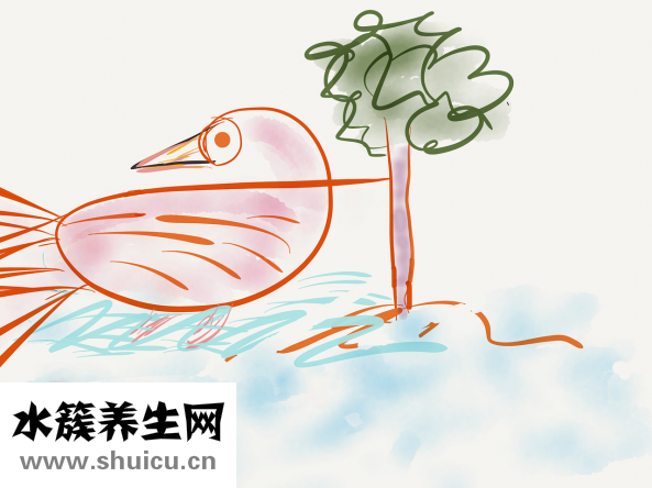 隔离霜怎么用