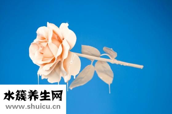 哪个少女不怀春